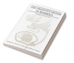 The Digestive System in Mammals