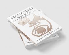 The Digestive System in Mammals