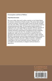 Consumption and Social Welfare
