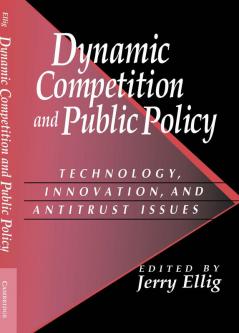 Dynamic Competition and Public Policy