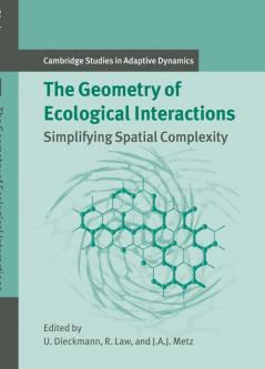 The Geometry of Ecological Interactions