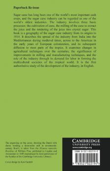 The Sugar Cane Industry
