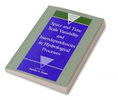 Space and Time Scale Variability and Interdependencies in Hydrological Processes