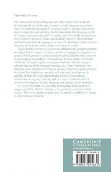 Vision and the Emergence of Meaning