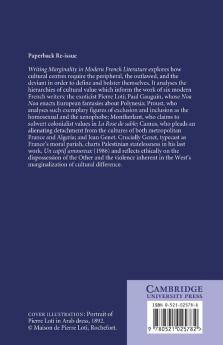 Writing Marginality in Modern French Literature