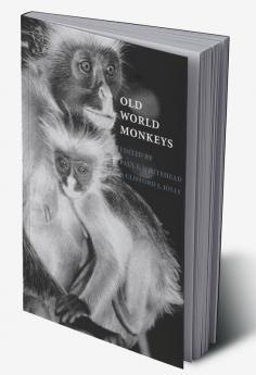 Old World Monkeys