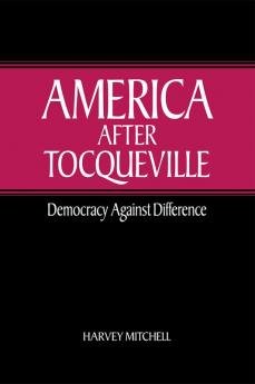 America After Tocqueville