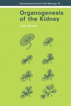 Organogenesis of the Kidney