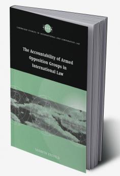 Accountability of Armed Opposition Groups in International Law