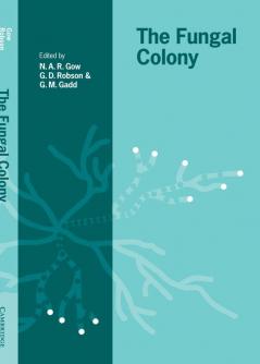 The Fungal Colony