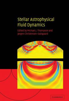 Stellar Astrophysical Fluid Dynamics