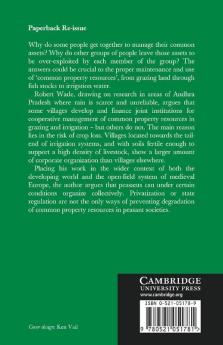 Village Republics