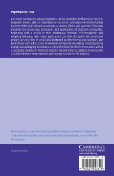 Electronic Composites