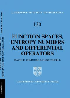 Function Spaces Entropy Numbers Differential Operators