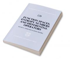 Function Spaces Entropy Numbers Differential Operators