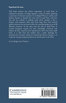 Small Firms and Entrepreneurship