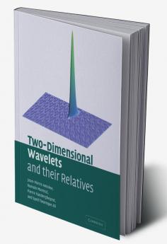 Two-Dimensional Wavelets and Their Relatives