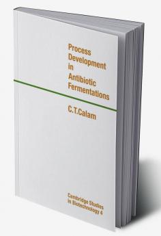 Process Development in Antibiotic Fermentations
