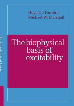 The Biophysical Basis of Excitability