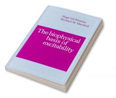 The Biophysical Basis of Excitability