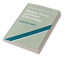 Modular Forms and Galois Cohomology