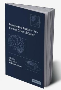 Evolutionary Anatomy of the Primate Cerebral Cortex