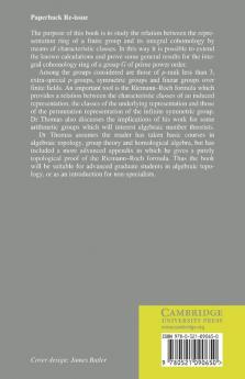 Characteristic Classes and the Cohomology of Finite Groups