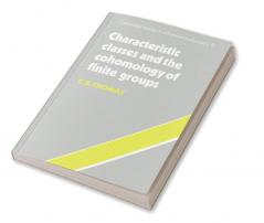 Characteristic Classes and the Cohomology of Finite Groups