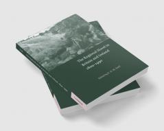 The Regional Novel in Britain and Ireland