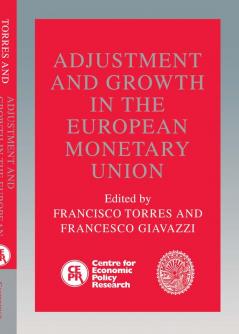 Adjustment and Growth in the European Monetary Union