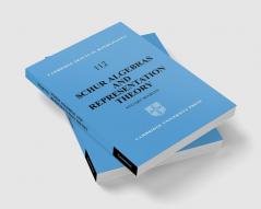 Schur Algebras and Representation Theory