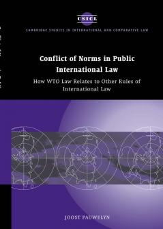 Conflict of Norms in Public International Law
