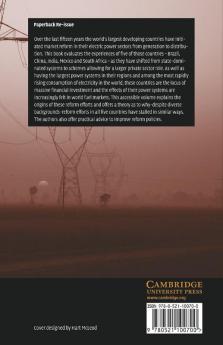 The Political Economy of Power Sector Reform