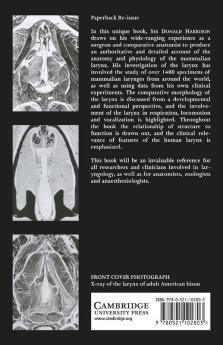 The Anatomy and Physiology of the Mammalian Larynx