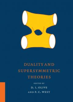 Duality and Supersymmetric Theories