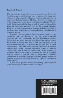 Linear and Projective Representations of Symmetric Groups