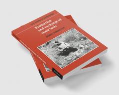Production and Exchange of Stone Tools