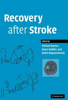 Recovery After Stroke