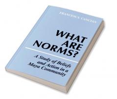 What Are Norms?