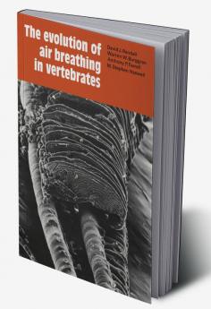 The Evolution of Air Breathing in Vertebrates