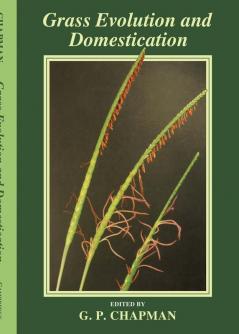 Grass Evolution and Domestication