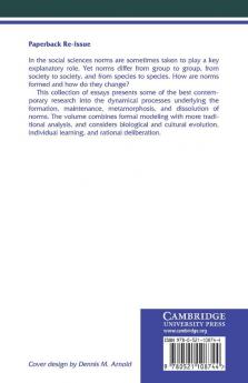 The Dynamics of Norms