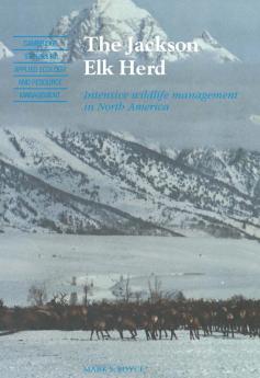 The Jackson Elk Herd