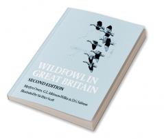 Wildfowl in Great Britain