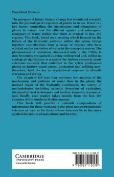 Water Transport in Plants Under Climatic Stress