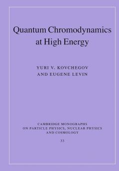 Quantum Chromodynamics at High Energy