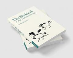 The Shelduck