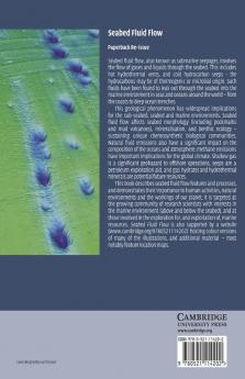 Seabed Fluid Flow