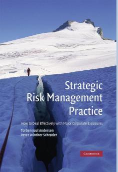 Strategic Risk Management Practice