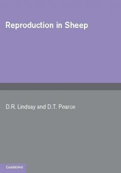 Reproduction in Sheep